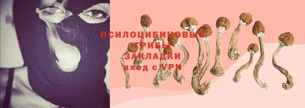 молекула духа Бугульма