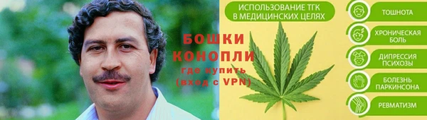 молекула духа Бугульма