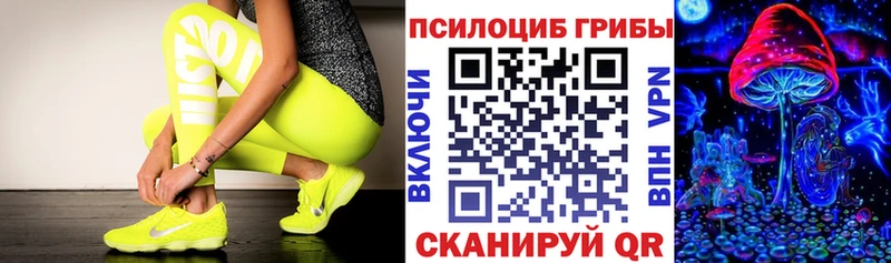 Псилоцибиновые грибы Cubensis  Невьянск 